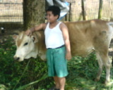 "/tmp/upload/51d95f1447ac4a39918b829d7de515455b2698c50fbcf3ebe0adf6b582c5fc261/Sapi korban.JPG"